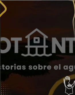 finalistas