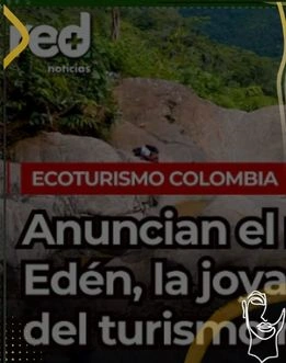 finalista